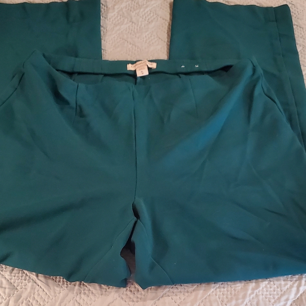 Coldwater Creek pants - Picture 2 of 3